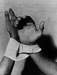 dialogue-of-hands Dialogue of Hands