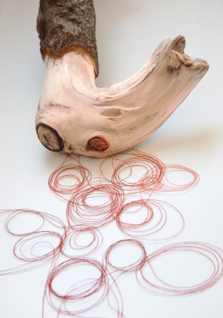 Bennie Reilly: Dead Horse, whittled branch and thread, 2012; Image courtesy the artist.